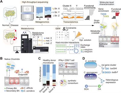 Systems and synthetic biology-driven engineering of live bacterial therapeutics